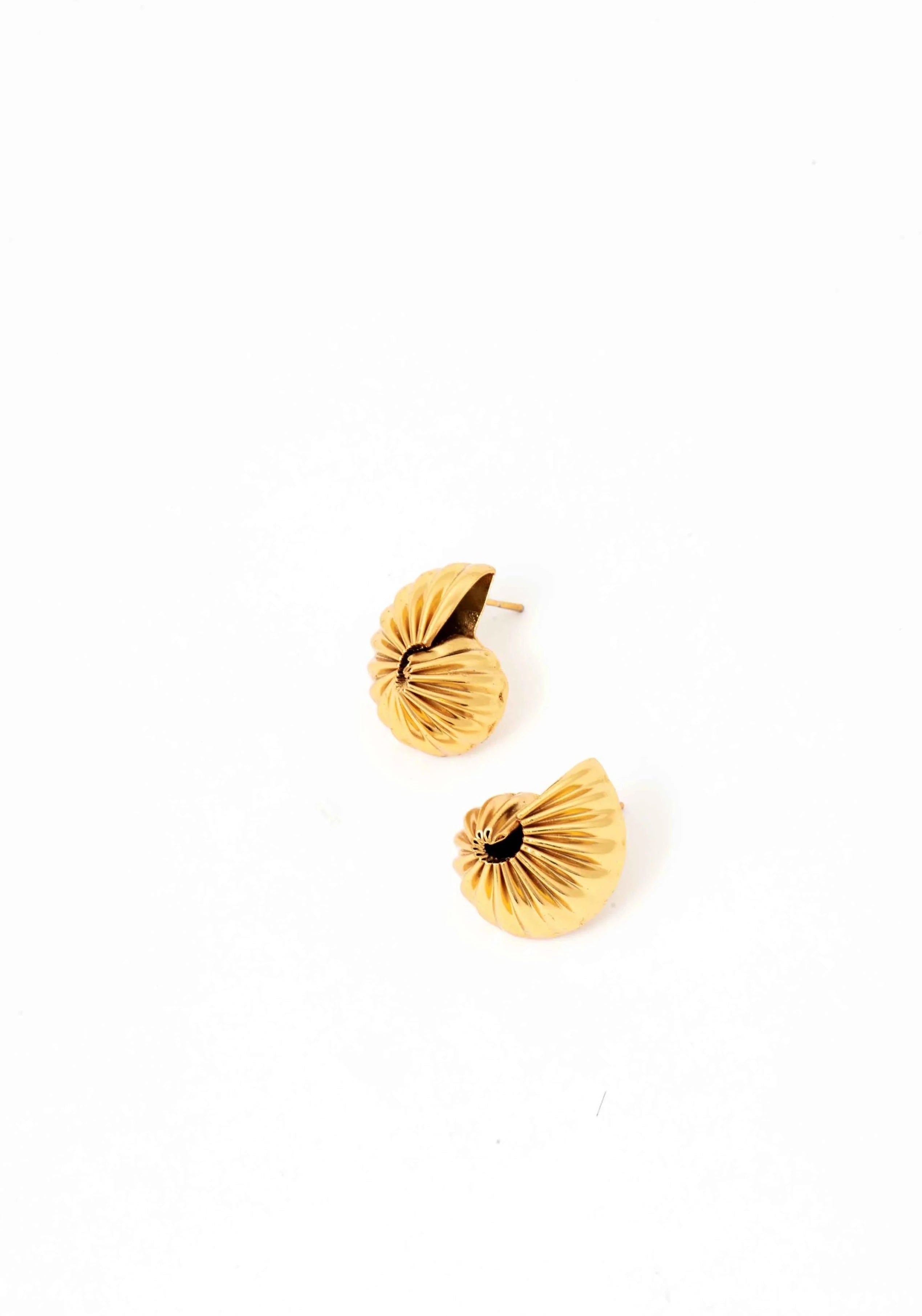 Auryn Shell Earrings